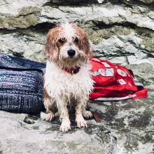 Meet your Posher, Sam